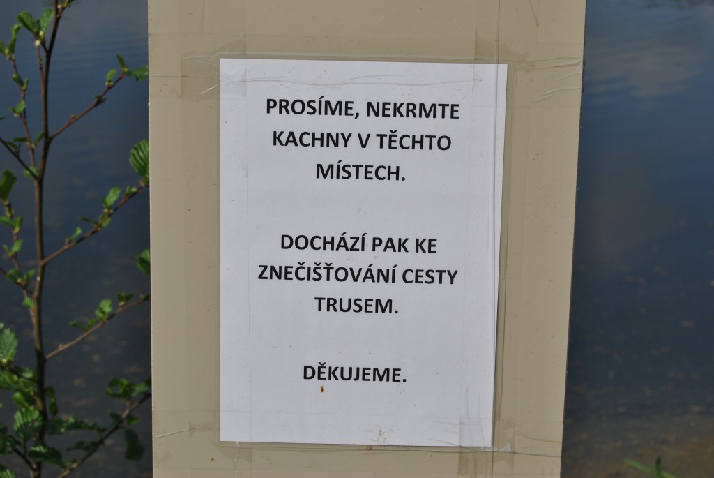 pepajs.cz
